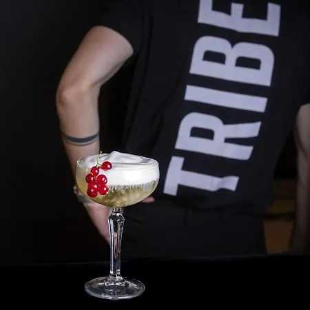 Hotel Tribe Paris La Defense Esplanade 4*